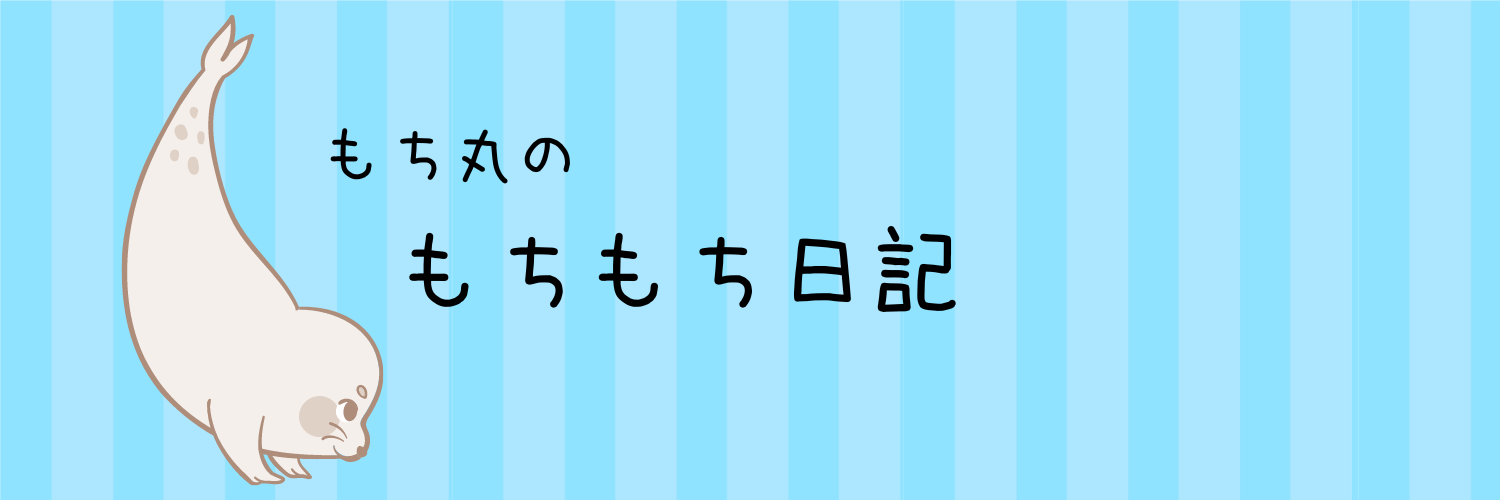 もち丸のもちもち日記